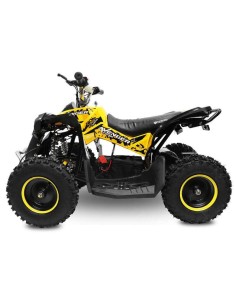 miniQuad NITRO AVENGER CARDAN 1200W R6 2