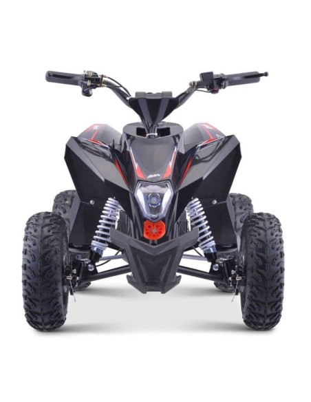 miniQuad electrico IMR WR 1300 Litio